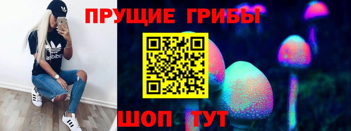 Галлюциногенные грибы мухоморы  Вход с VPN  Карабулак  Псилоцибиновые грибы мицелий 